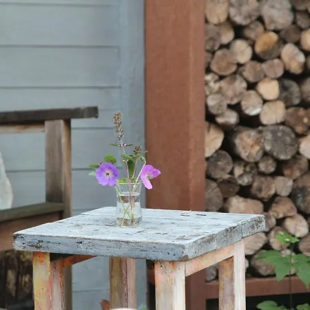 Luxury Holiday Home In Heiloo With Terrace And Garden Ferienhaus